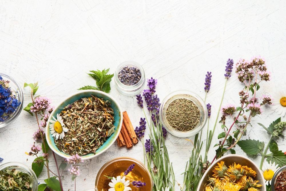 Natural herbs and botanical ingredients used in health supplements